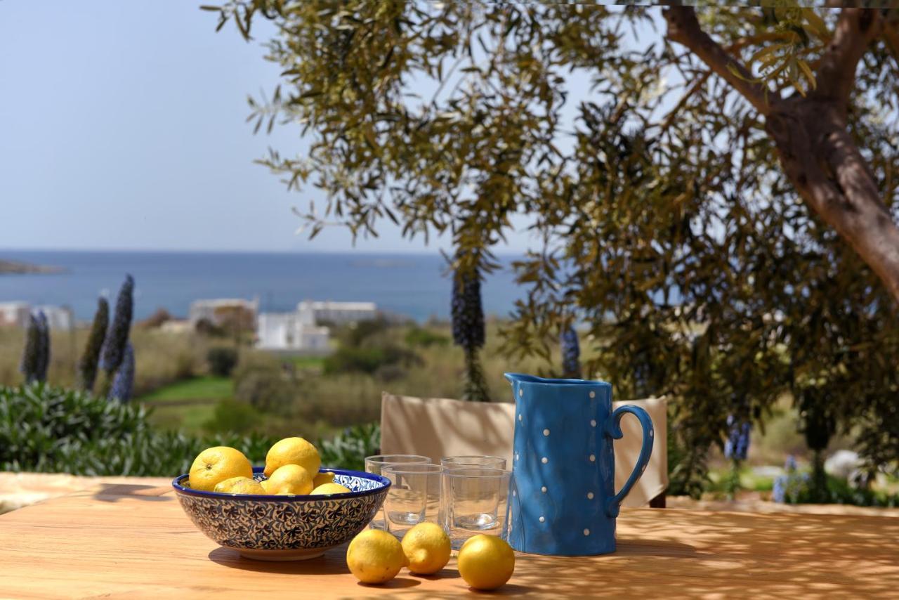 Good Life Greece Eco Villas Posidhonía Exteriér fotografie
